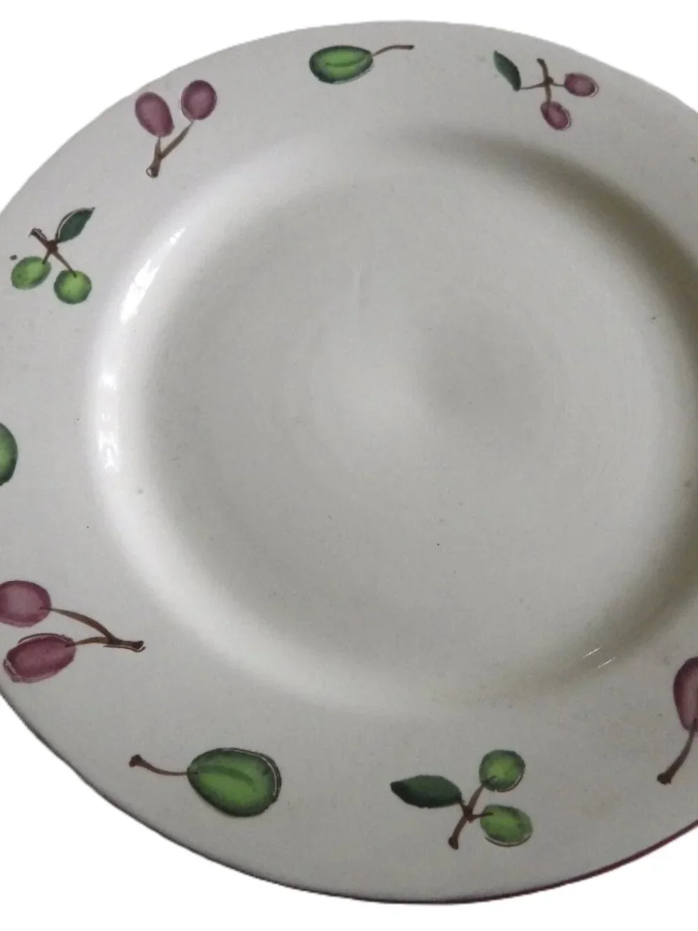 Pottery Barn Olive Large Dinner Plates/ 12